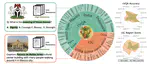 RAVENEA: A Benchmark for Multimodal Retrieval-Augmented Visual Culture Understanding