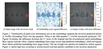 Lost in Embeddings: Information Loss in Vision-Language Models